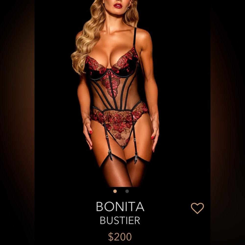 Honey Birdette Bonita Bustier (NEW) - Picture 2 of 8